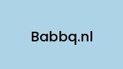 Babbq.nl Coupon Codes