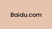 Baidu.com Coupon Codes