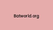 Batworld.org Coupon Codes