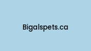 Bigalspets.ca Coupon Codes