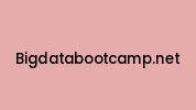 Bigdatabootcamp.net Coupon Codes