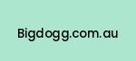 bigdogg.com.au Coupon Codes