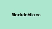 Blackdahlia.co Coupon Codes