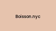 Boisson.nyc Coupon Codes