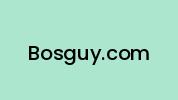 Bosguy.com Coupon Codes
