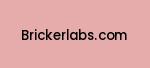 brickerlabs.com Coupon Codes