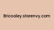 Bricooley.storenvy.com Coupon Codes