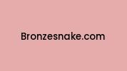 Bronzesnake.com Coupon Codes