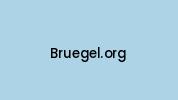 Bruegel.org Coupon Codes