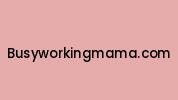 Busyworkingmama.com Coupon Codes
