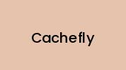 Cachefly Coupon Codes