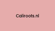 Caliroots.nl Coupon Codes
