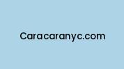 Caracaranyc.com Coupon Codes