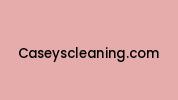 Caseyscleaning.com Coupon Codes