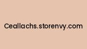 Ceallachs.storenvy.com Coupon Codes