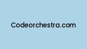 Codeorchestra.com Coupon Codes