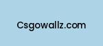 csgowallz.com Coupon Codes