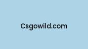Csgowild.com Coupon Codes