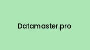 Datamaster.pro Coupon Codes