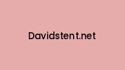 Davidstent.net Coupon Codes