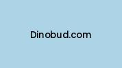Dinobud.com Coupon Codes