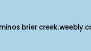 Dominos-brier-creek.weebly.com Coupon Codes