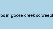 Dominos-in-goose-creek-sc.weebly.com Coupon Codes