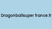 Dragonballsuper-france.fr Coupon Codes