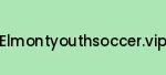 elmontyouthsoccer.vip Coupon Codes