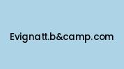Evignatt.bandcamp.com Coupon Codes
