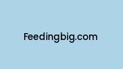 Feedingbig.com Coupon Codes