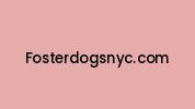 Fosterdogsnyc.com Coupon Codes