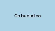 Go.budurl.co Coupon Codes