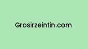 Grosirzeintin.com Coupon Codes