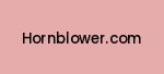 hornblower.com Coupon Codes