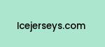 icejerseys.com Coupon Codes