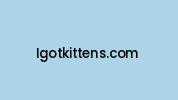 Igotkittens.com Coupon Codes
