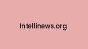 Intellinews.org Coupon Codes