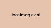 Joostmaglev.nl Coupon Codes
