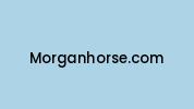 Morganhorse.com Coupon Codes