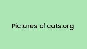 Pictures-of-cats.org Coupon Codes