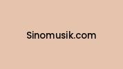 Sinomusik.com Coupon Codes