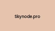 Skynode.pro Coupon Codes
