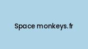 Space-monkeys.fr Coupon Codes