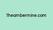 Theambermine.com Coupon Codes