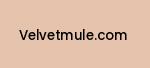 velvetmule.com Coupon Codes