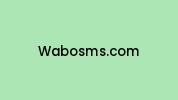 Wabosms.com Coupon Codes