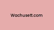 Wachusett.com Coupon Codes