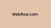 Webflow.com Coupon Codes