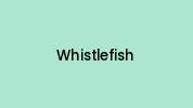 Whistlefish Coupon Codes